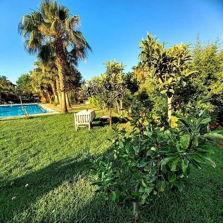 Sun Zuma Ja Fethiye